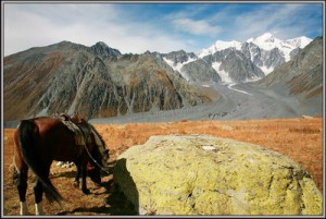 Поклонение. У южных склонов Белухи. Большой Алтай.